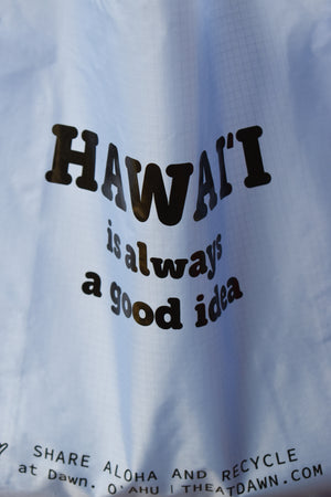 
                  
                    "Hawaii" Standard Baggu - Cornflower
                  
                