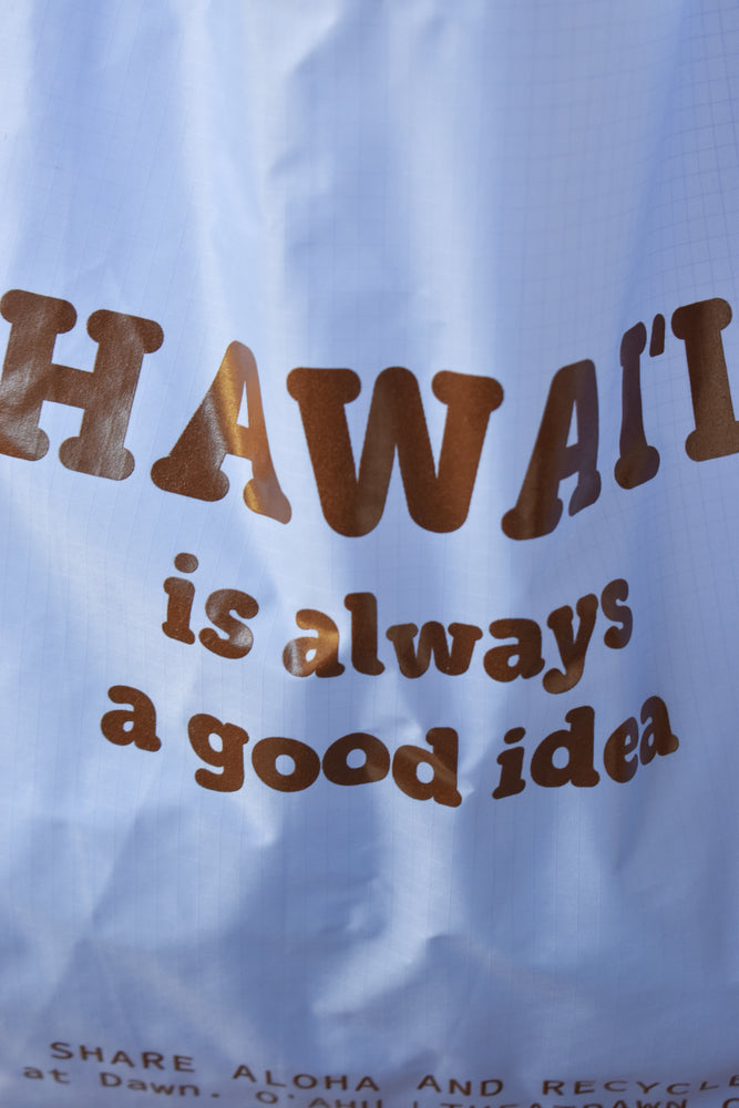 
                  
                    "Hawaii" Standard Baggu - Cornflower x Brown
                  
                