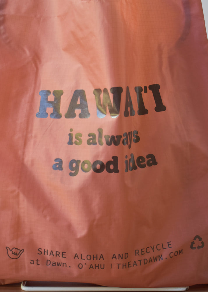 
                  
                    "Hawaii" Standard Baggu - Terracotta
                  
                