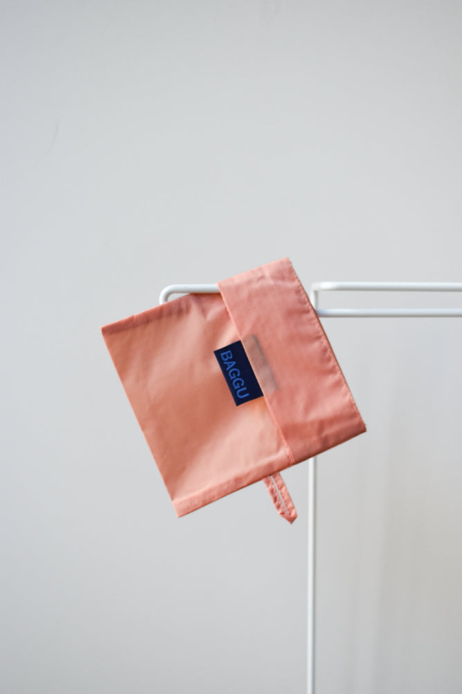 
                  
                    "Hawaii" Standard Baggu - Pink Salt x Brown
                  
                